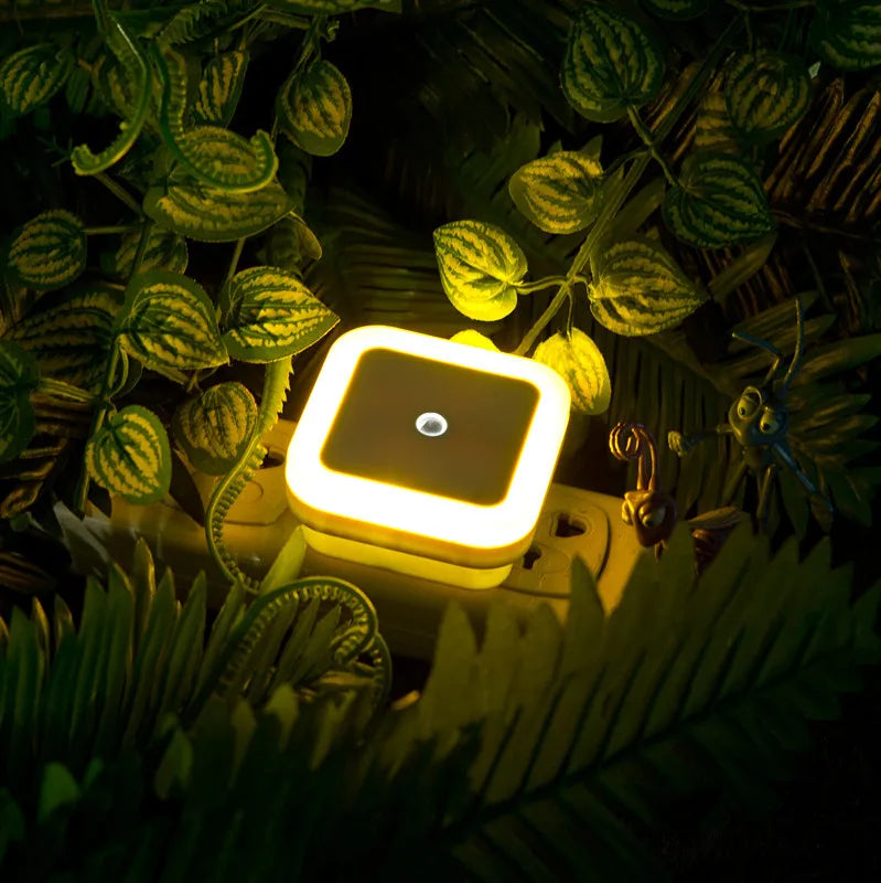 Wireless LED Night Light Sensor Lighting